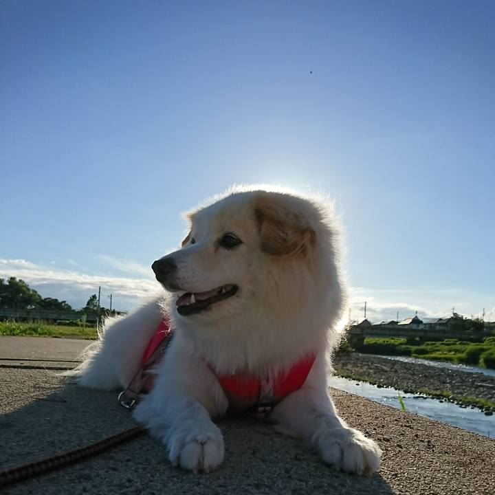 40aee1ae 2623 40db 85fe 9d094da6c527