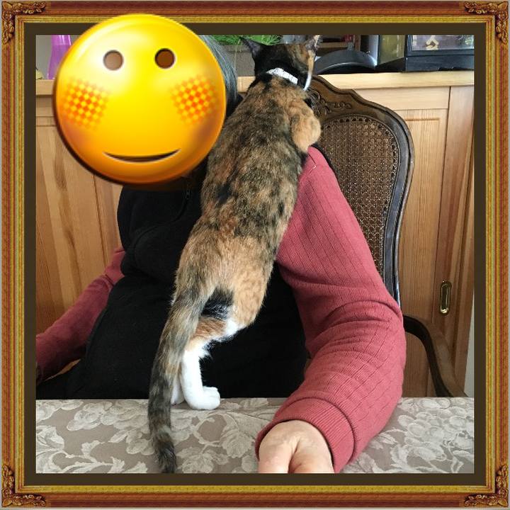 40aef5f1 9abd 4ef0 a870 417b1e3542d9