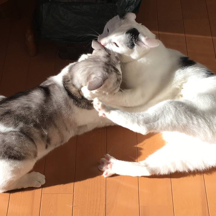 40aefd95 bfca 4edb b244 e4badd28a443