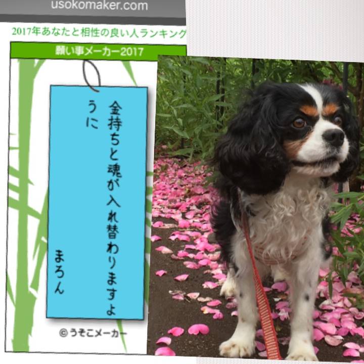 40af0536 391f 452f 952a 772dbdcd7198