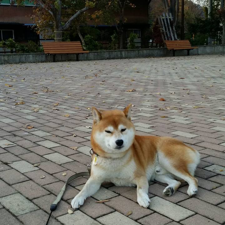 40af425b 3d55 4fbc a988 135eb542a51b