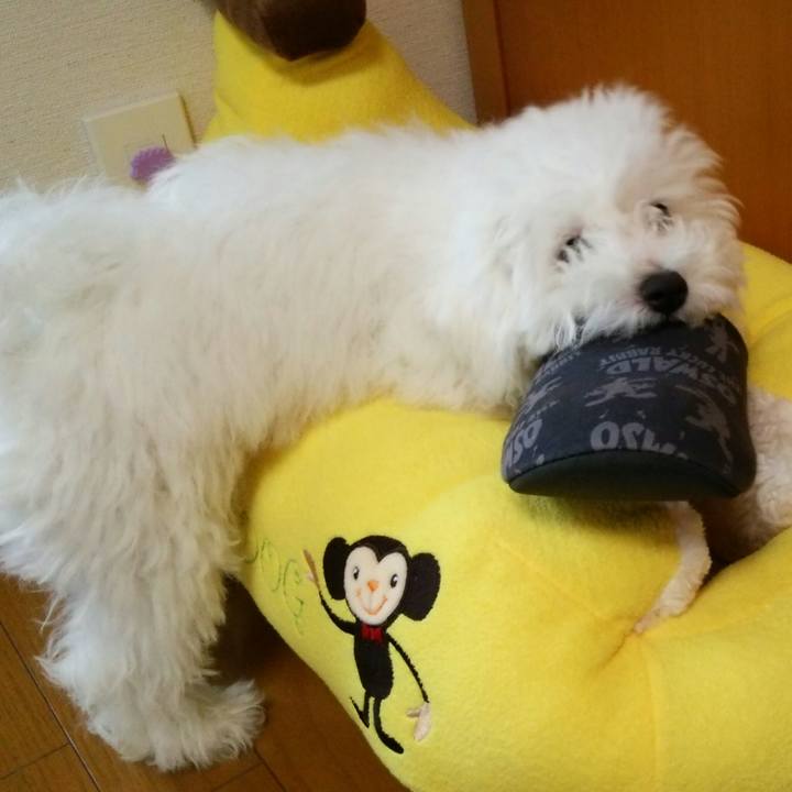 40af540b 1640 4bbf a214 4a1cb8ee80bb