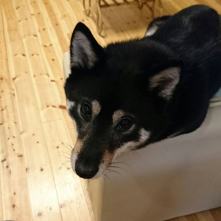 40b01768 fdc3 4db7 b84f 8ba10b7abcbc