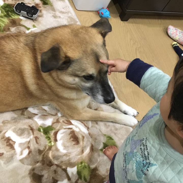 40b09004 608b 471d 8c6c 281bea649fe5