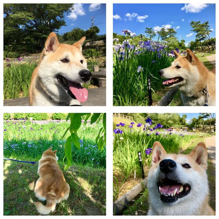 40b0a574 bf4a 4926 9cb0 3ebcb2e42c08