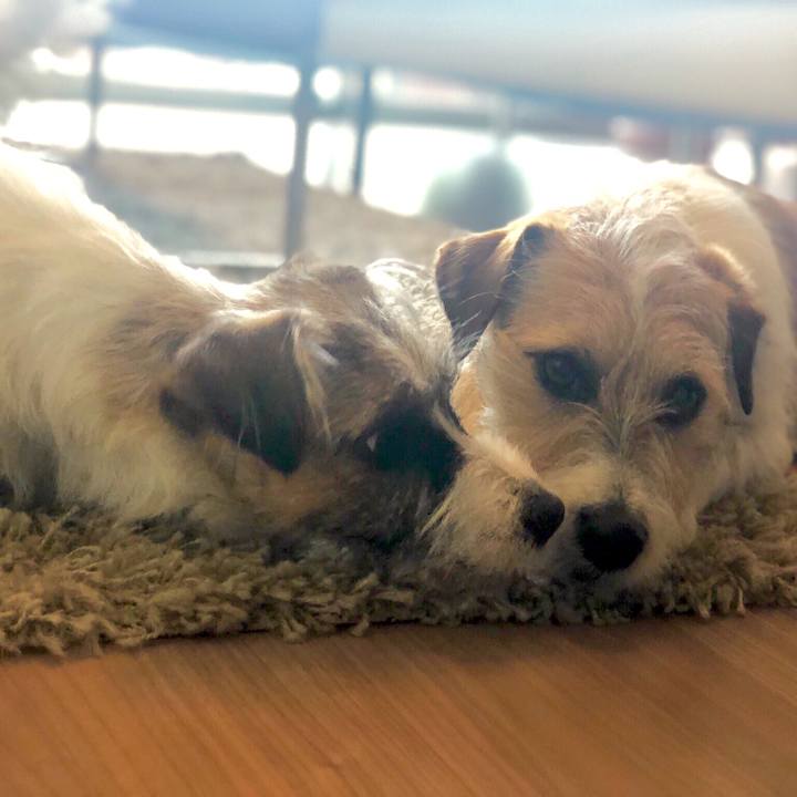 40b11c11 d2d8 4cf4 8356 4c74890be40b