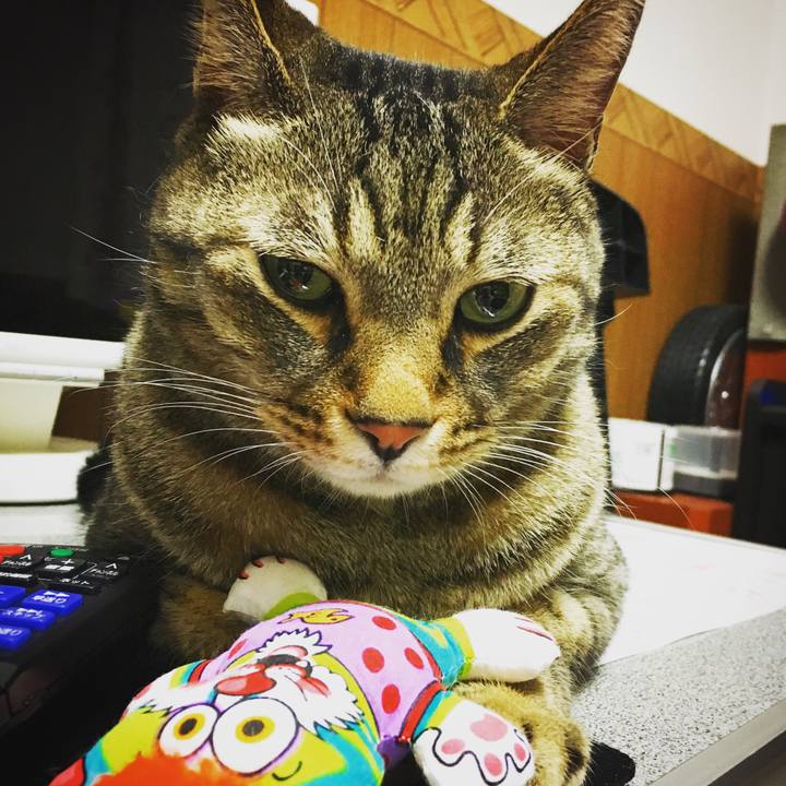 40b15864 be4d 4057 a6c2 3d992b78a4bb