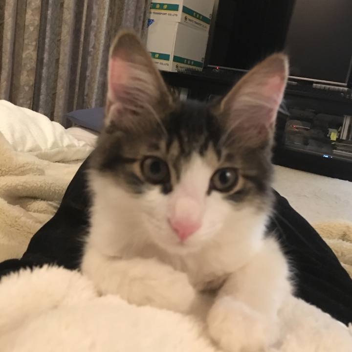 40b21880 5053 4946 afe6 380127ebd565