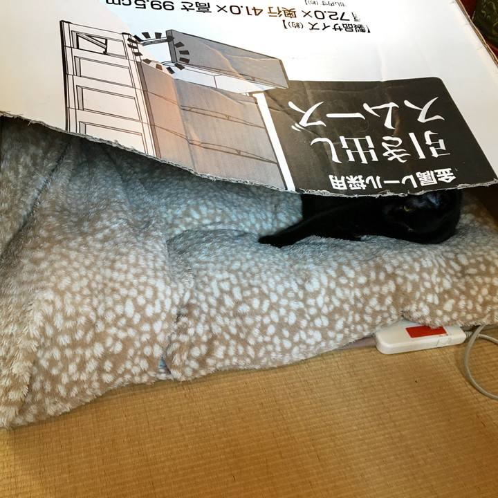 40b272d9 af68 41aa 91f9 37f61f77707b