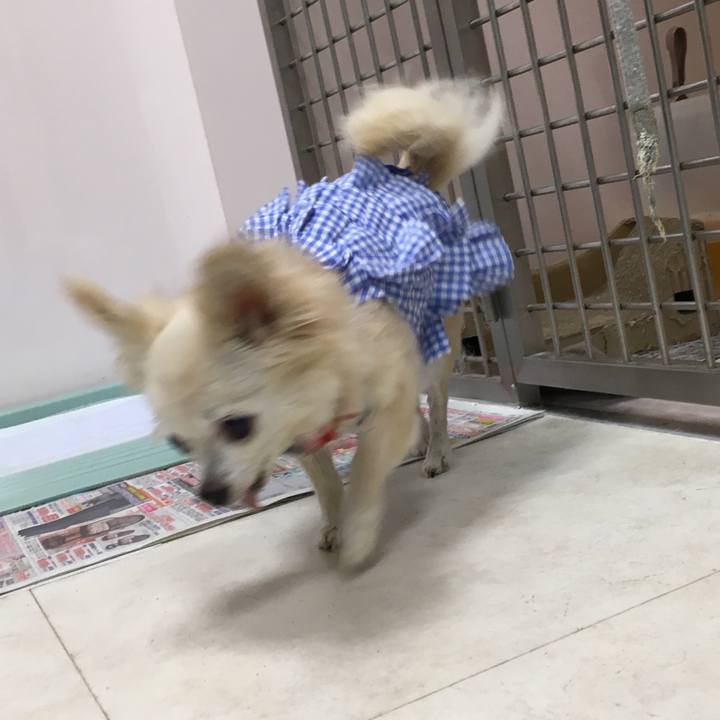 40b28e12 951e 428c 8136 c037805acc2f