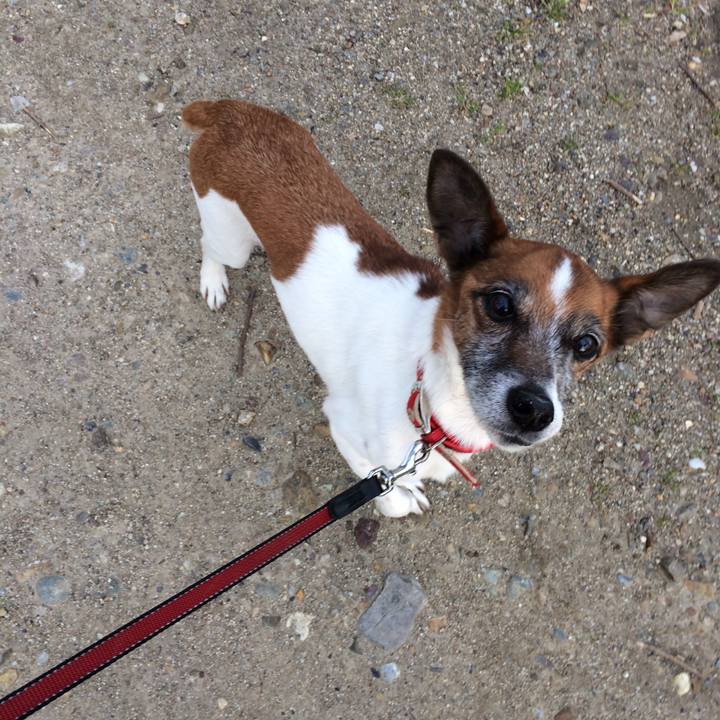 40b29f57 4966 4a18 b0c8 9fbd26948a75