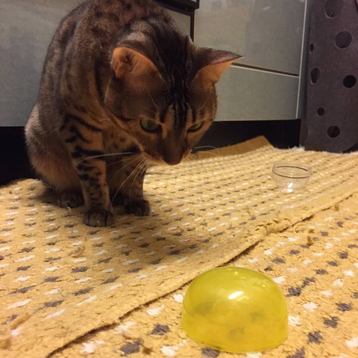 40b32710 fb25 4a53 8390 686350ba7ff1