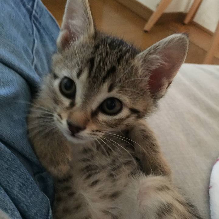 40b3cb98 1d8f 4820 a77d 250419ef8afb