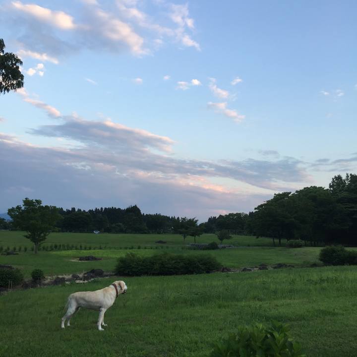 40b3efea 3daf 41f8 85a1 6591383484c5