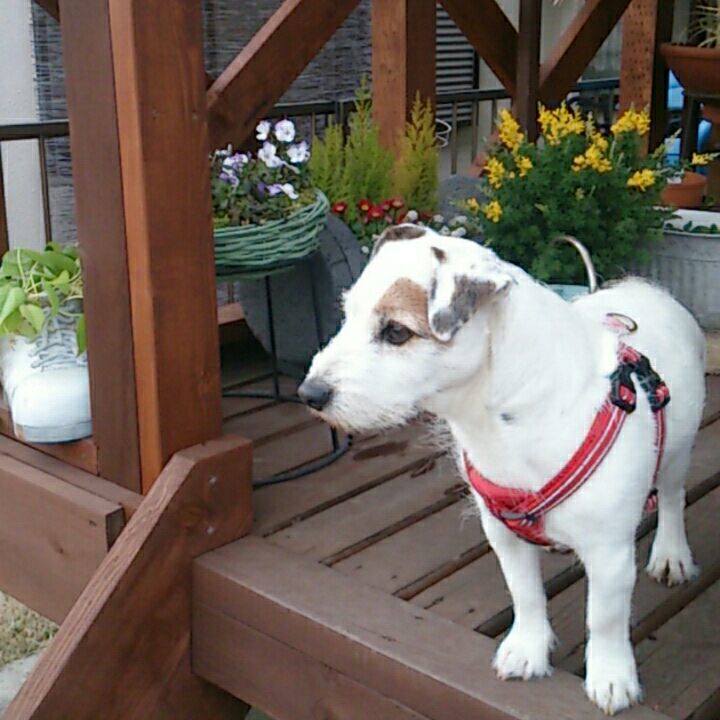 40b40d64 591f 4216 ae1a a326b361f0b5