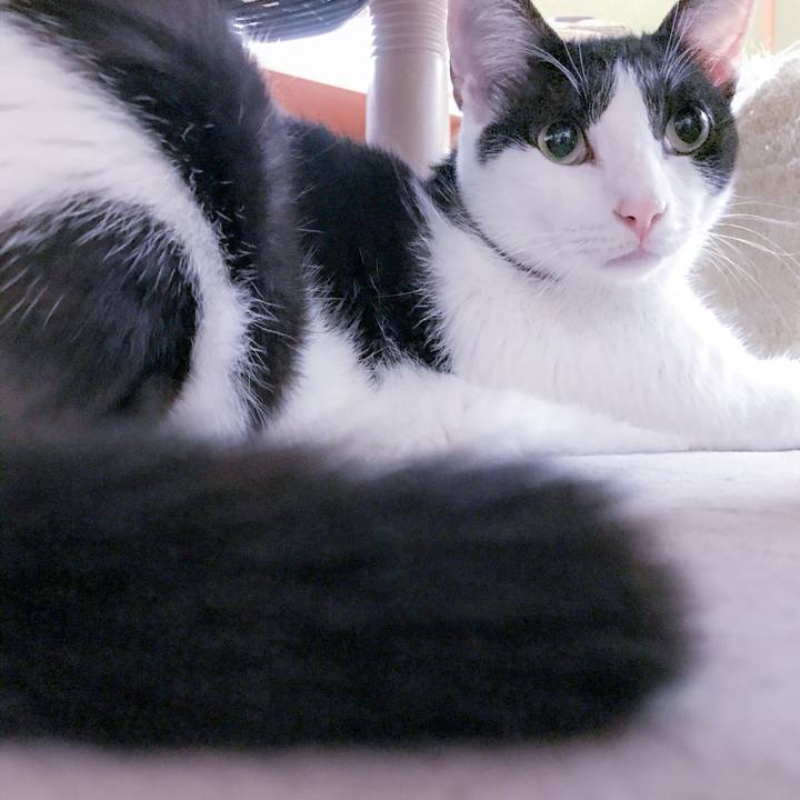 40b4c162 f609 46d6 a149 c0bebf871b55