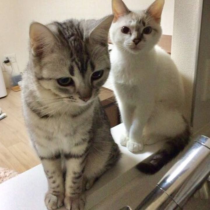 40b5f4f0 3d23 489b 8324 102006525fd4