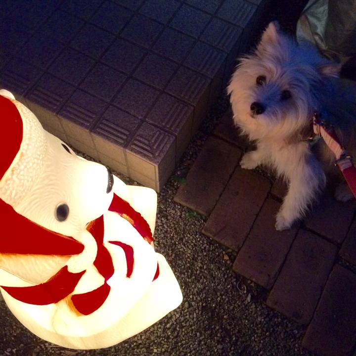 40b60320 71b6 4971 853c c3b242fe43dd