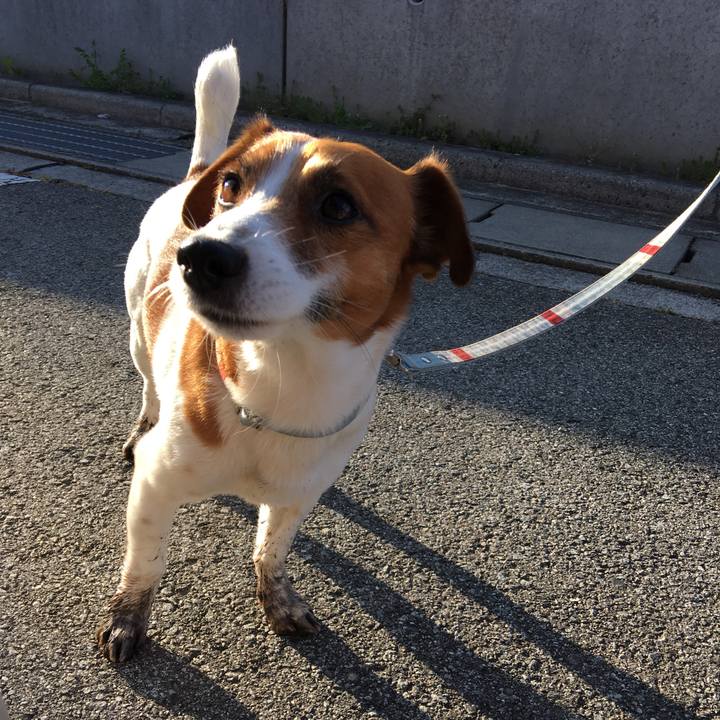 40b62228 cddc 46da 8849 1a40e0f820b7