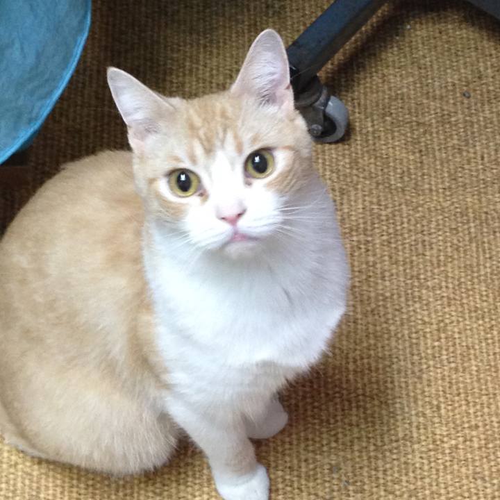 40b66a35 2888 48c5 bfe9 9612ab2740b0