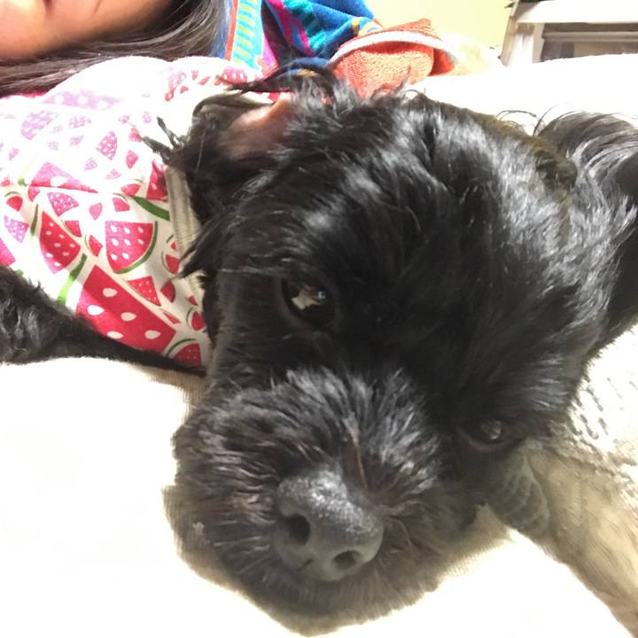 40b6e8ec 6ffb 4bcb 8992 b6639f8e1e0c