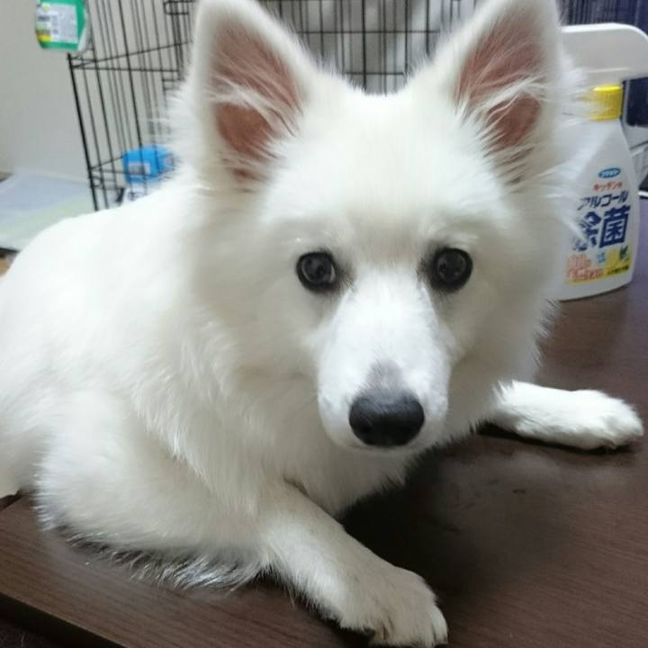 40b6f462 c68e 4bf4 b6ed a0f0d2505881