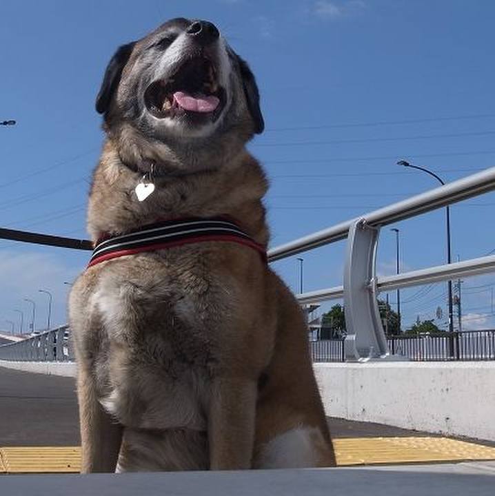 40b71381 412e 4236 94ac 53cc57e8759c