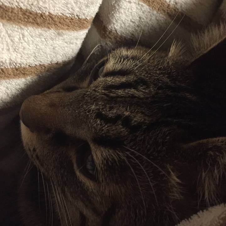 40b7ba0e e4a1 4b9c b497 1d184dd316c9