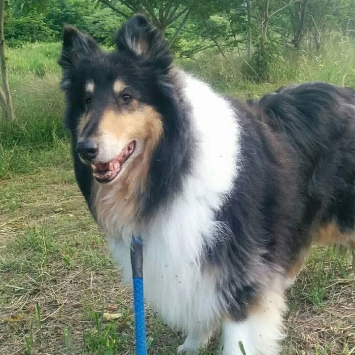 40b8a843 298f 4ad7 9d94 36861293d263