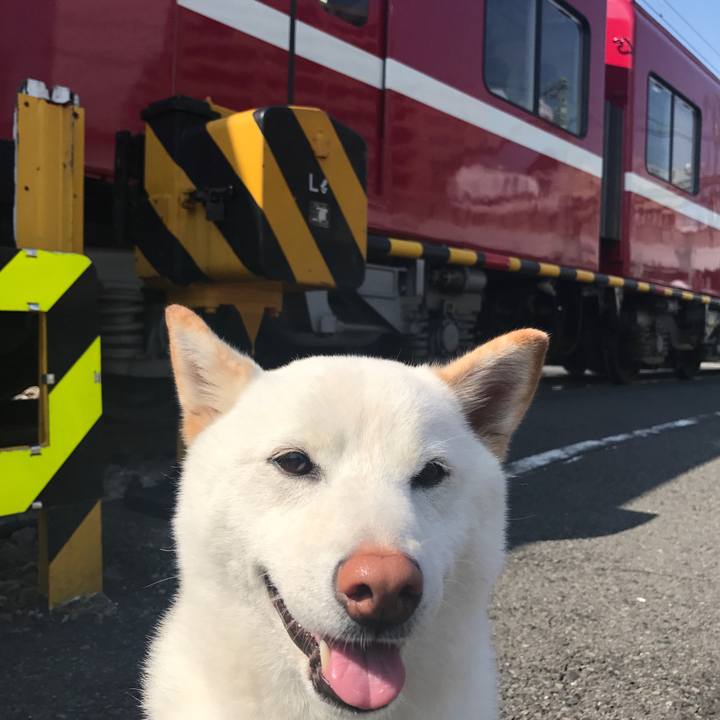 40b8ff92 a97e 421c 8214 657c0d069d22