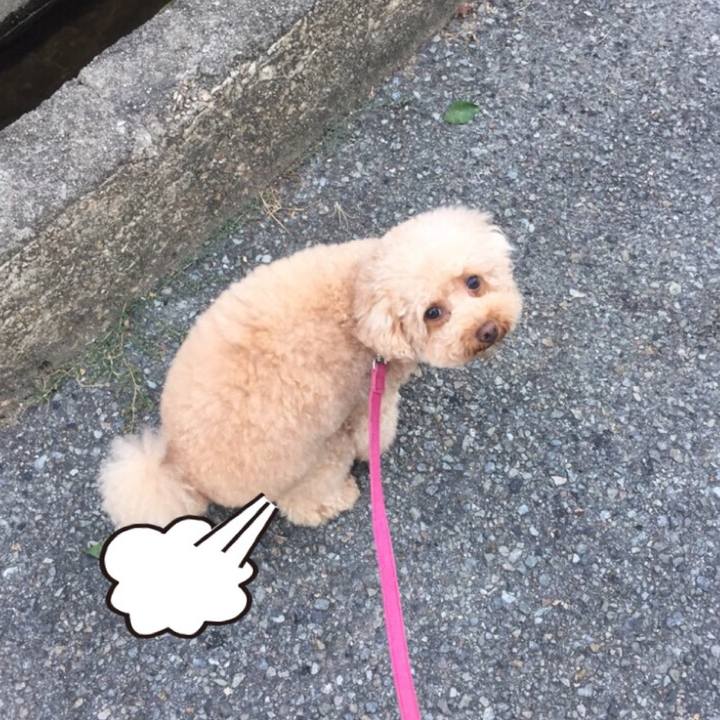 40b90103 b46b 4270 a259 39d1dc54c437