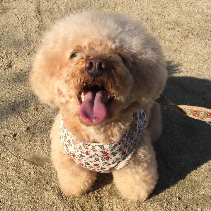 40b965df a86c 45e1 b646 29b6819ac42d