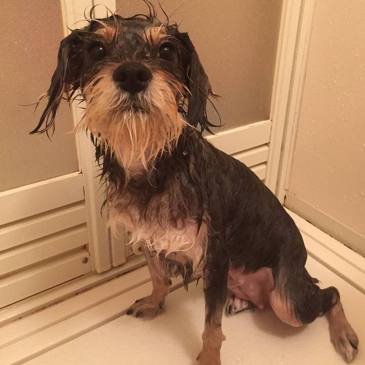 40b9ae58 ad4e 420d ae6a 2d67b3a02253