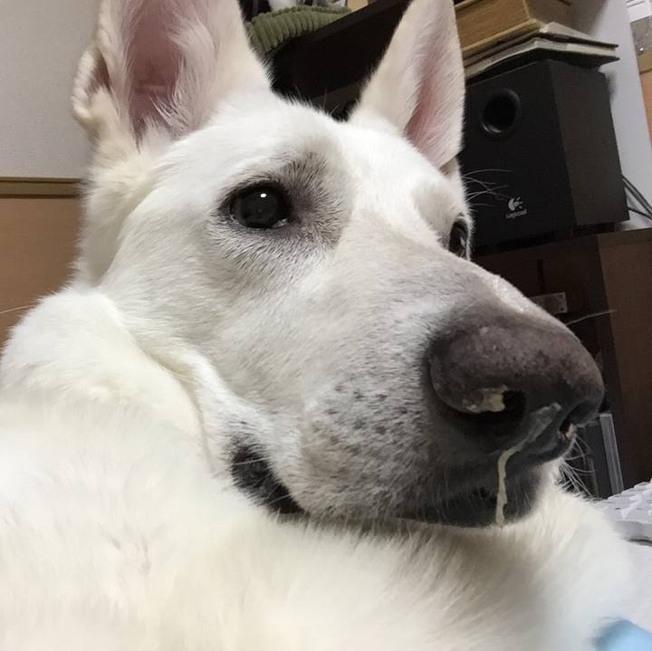 40ba430b d76e 49f0 9c31 a4988e922c03