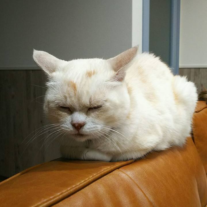 40bb3faf d407 4b2a a932 3f06fa330b53