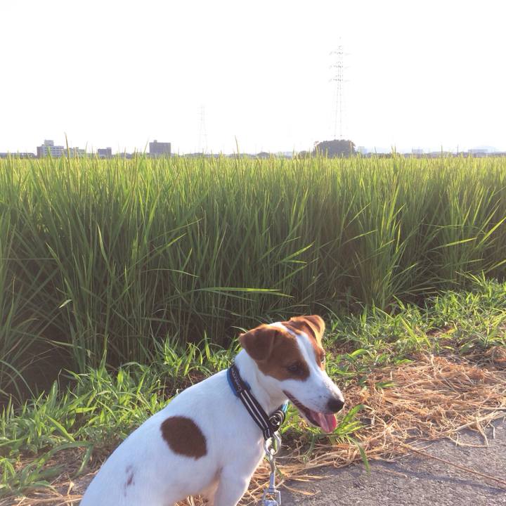 40bc05c3 442d 4965 affc 192644882b1c