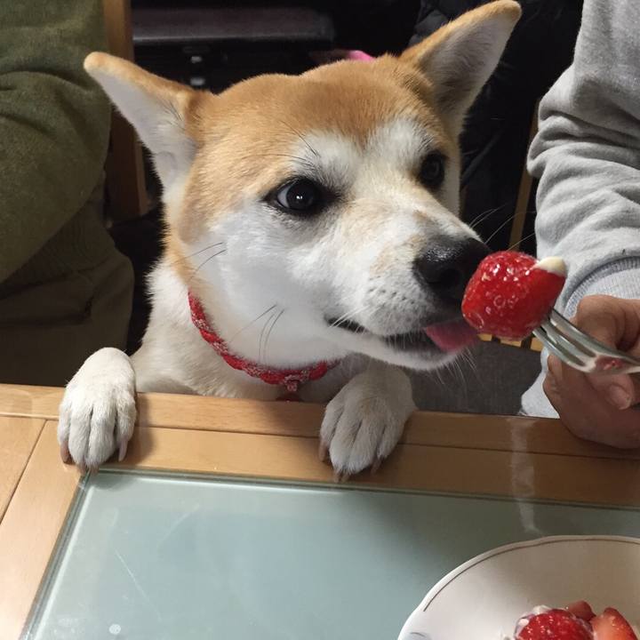 40bc1ff1 17bc 4359 9ac0 5d909f5746c1