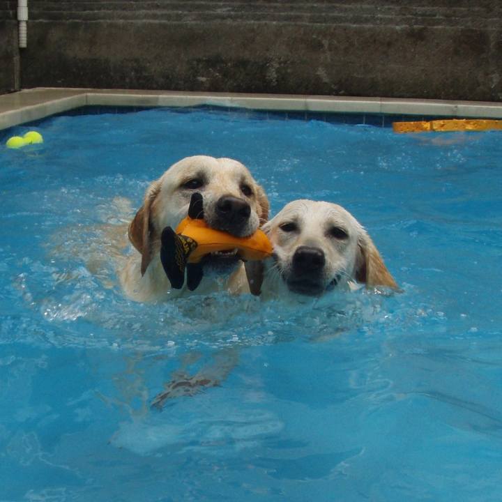 40bc3d13 19e9 410e 8c02 354167c9dcc3