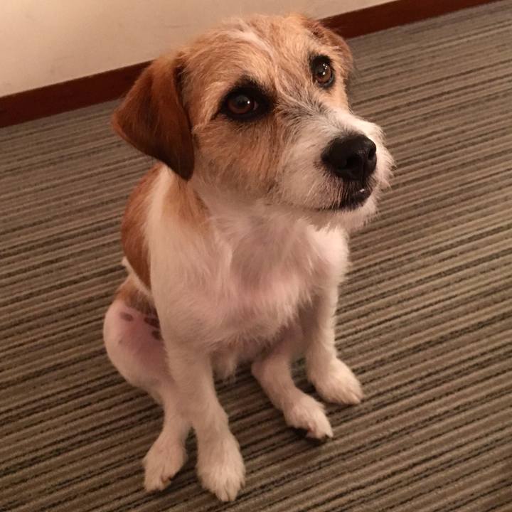 40bc70fd 013d 4731 8049 1e434ab28e21