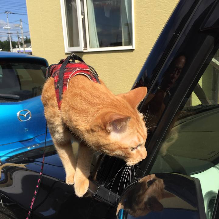 40bd5cee 7bee 459e 9919 c70c275ae7b2