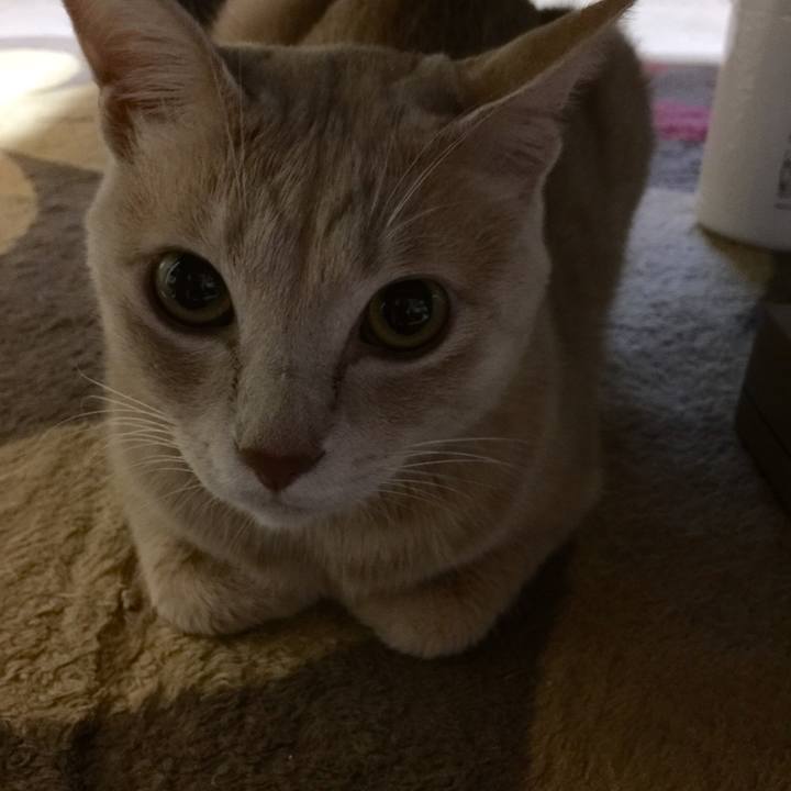 40bd6481 cb90 44a8 a1e3 86c4c3d9431f