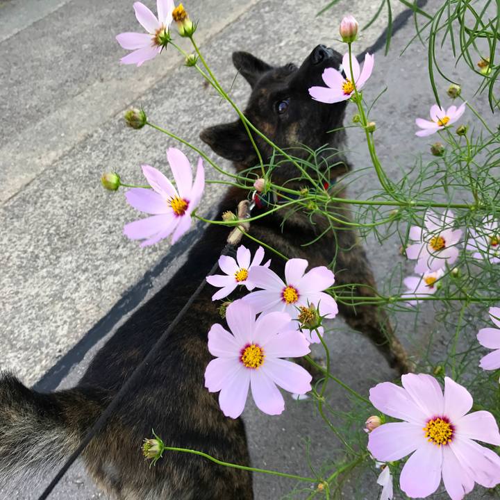 40be19df 0192 4a4e a546 a11c443a420c