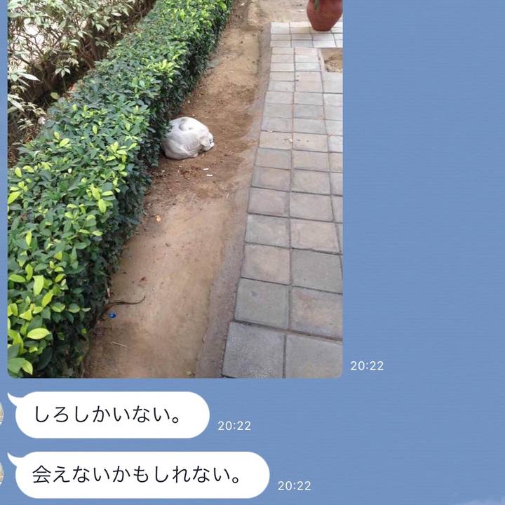 40be4397 1a52 4ad4 9c6a 1620e03635eb