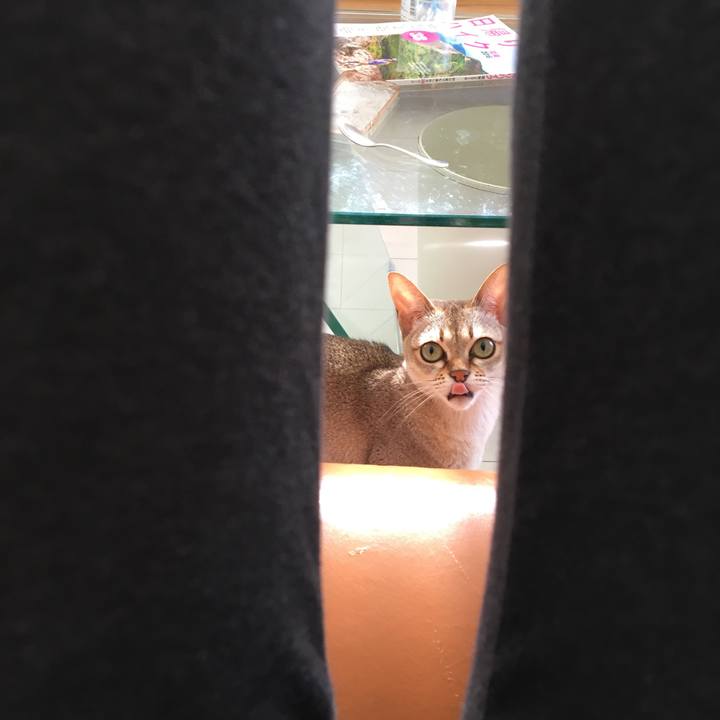 40bec69f 0357 48fa b9eb f7ac441cb070