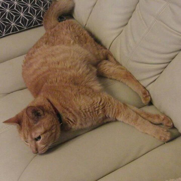 40beff25 606b 4d80 8781 64a944c36c1c