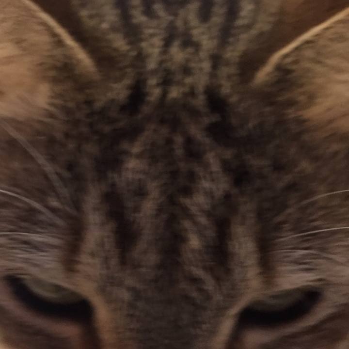 40bf08c8 ec4e 46b5 9836 c70b851be5da