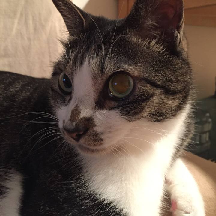 40bf6105 3ebb 4fc8 9bd7 93eceb7cb99f