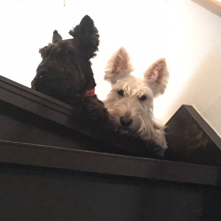 40c0aa63 e5a7 4b44 8d7d 1da6fc70b3ad