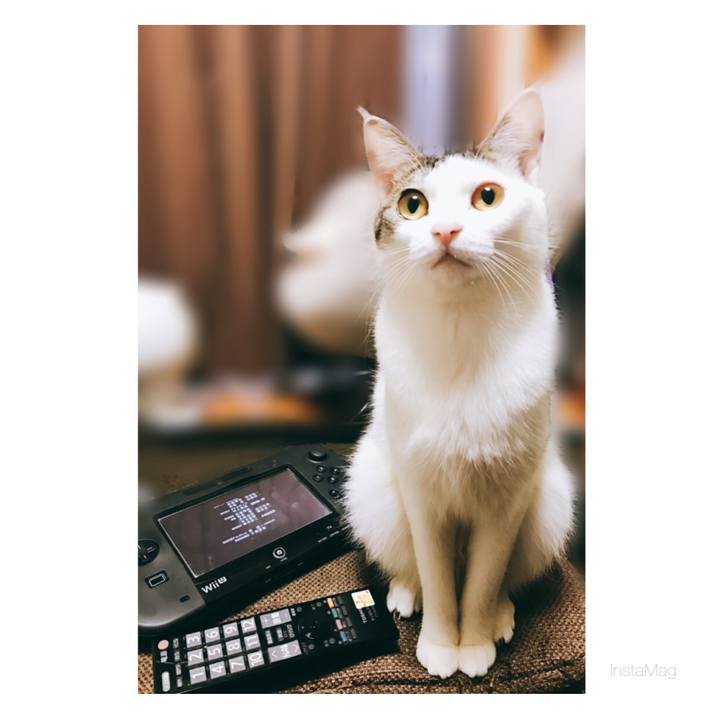 40c0d0c2 322c 4047 be76 f74960b3eff9