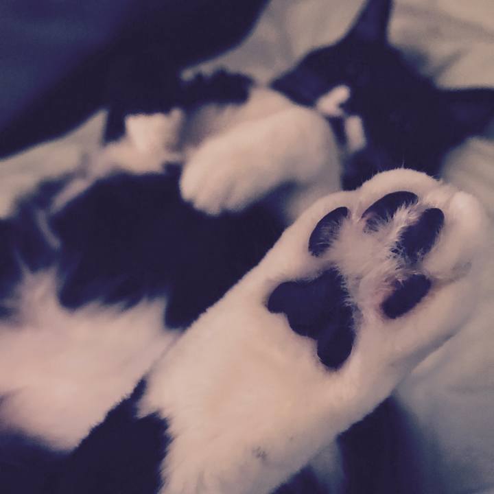 40c0e033 f5fd 4e4d 92c1 0bfcb04a323a